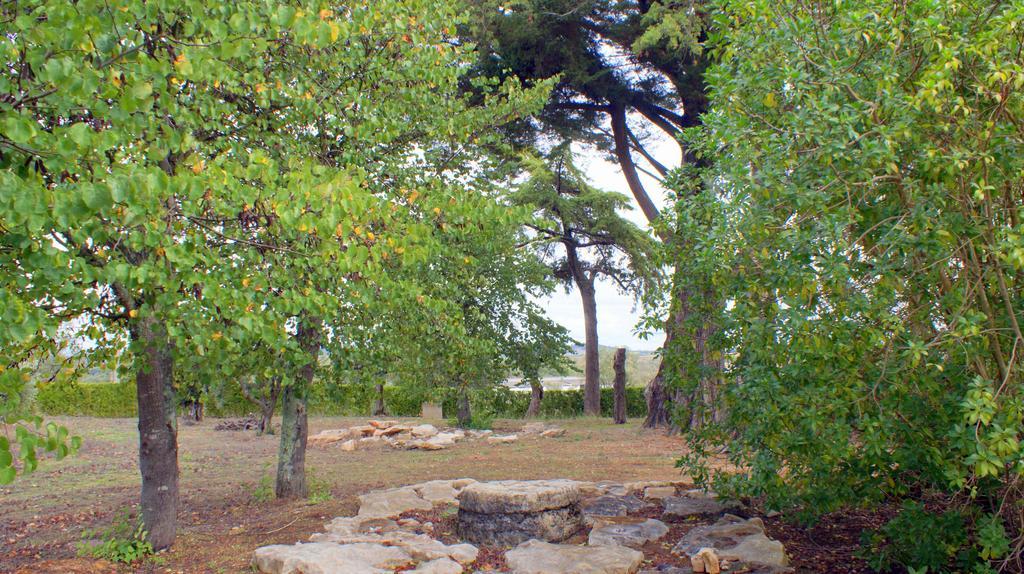 Quinta Da Mata Villa Sobral  Ngoại thất bức ảnh